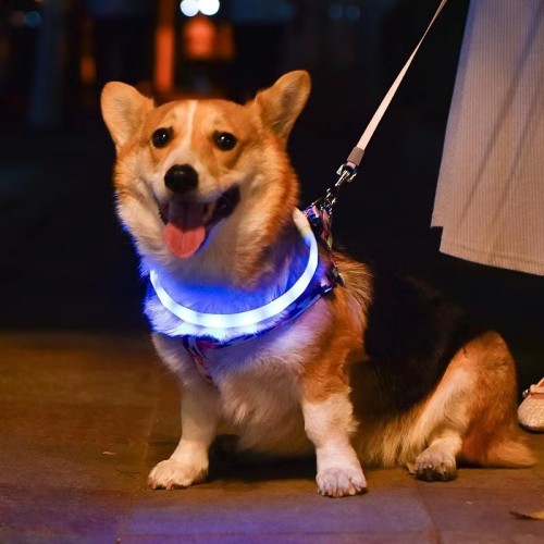 retractable dog leash with led light pet collars leashes dog walking kit